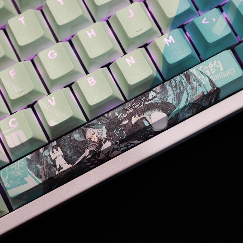 My Anime Keycaps Complete Set Arknights: Ho'olheyak Backlit Keycap Set