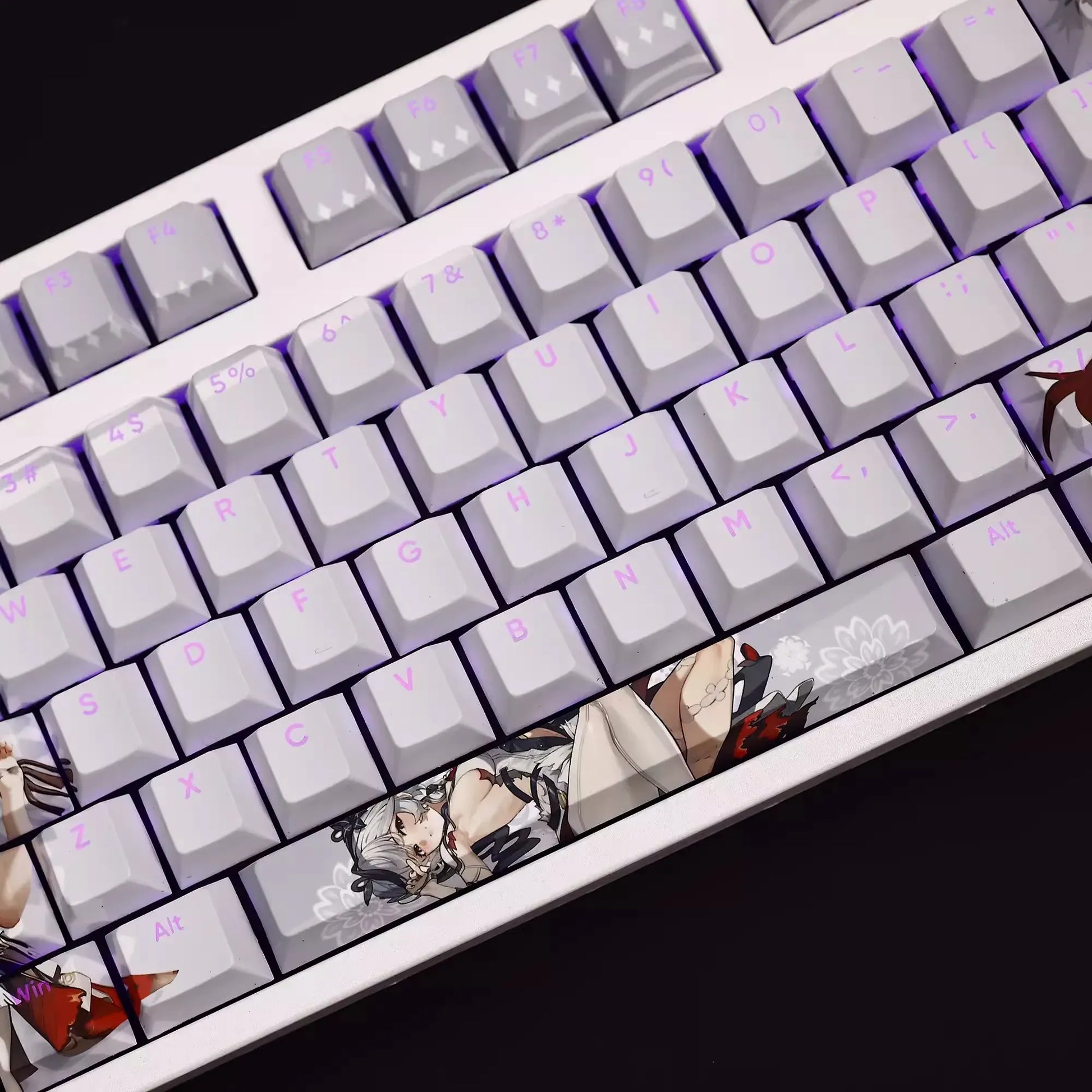 My Anime Keycaps Complete Set Wuthering Waves: Chun Backlit Keycap Set